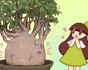 大哥养花太霸气，1棵足足100斤，2个人都搬不动！