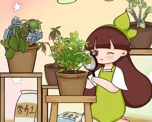 这花黄叶了，再心疼也得剪，严重还要换盆！