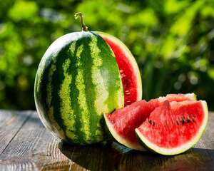 阳台盆栽西瓜的方法