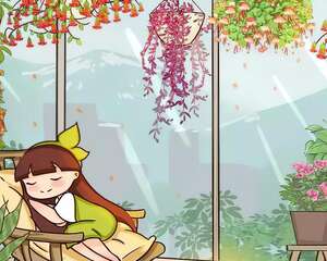 过年挂盆“灯笼花”，红红火火真喜庆，一盆开出上千朵！