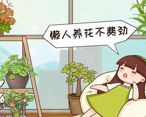 懒人救星！最好养的花就是它，绿萝竟然排不上号！