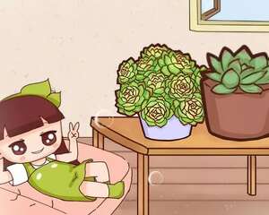 4种多肉最适合懒人养，叶子厚实难徒长，不养你就亏大了！