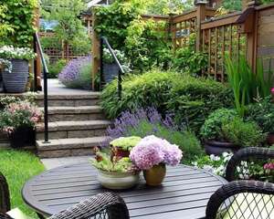 小小院子，种花喝茶，这才是我想要的生活！