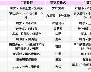 初学养花者如何选购花卉