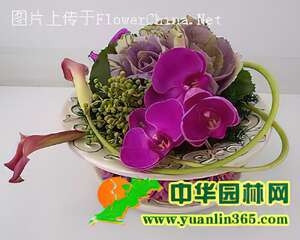 餐桌花欣赏——秀色可餐