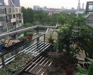 也来说说自己度夏防黑腐的实践总结小经验