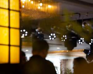 兰花什么时候分株好