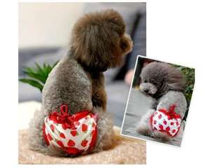 狗狗生理期注意事项有哪些 狗狗生理期怎么办