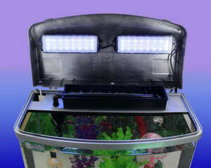 常用的水族箱过滤器介绍