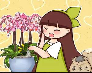 给花撒点粉末，不招虫不黄叶，2个月狂开花！