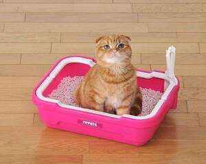 猫厕所该用什么清理