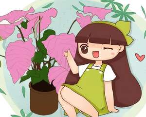 别养绿萝了，这20种耐阴花，养家里才气派！