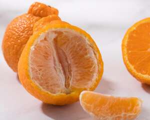 丑橘到底上火不上，是热性还是凉性