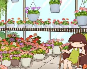 这花冬天冻一冻，开花才会爆满盆！