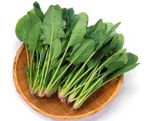 狗狗可以菠菜吗，狗狗吃菠菜的好处有哪些？