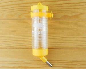 如何训练兔兔使用滚珠饮水器