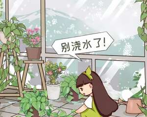 低于10度，这花要赶紧断水，否则绝对冻死！
