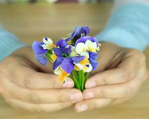 特耐寒的懒人花，-10℃冻不死，不用管也能开爆盆！