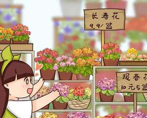 这花10块钱买6盆，100元摆满一阳台，真便宜！