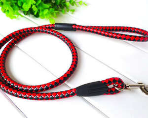 有哪些必要的狗狗用品