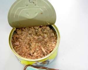 猫咪的罐头要如何才能保鲜