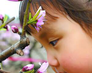 赏花踏青一定小心花粉过敏