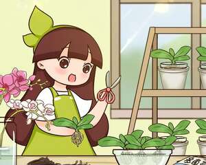 这花开完就死？别被它骗了，还能再养7、8年！