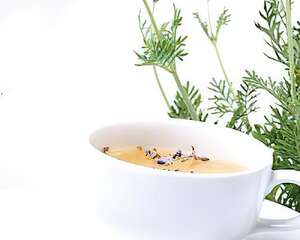 薰衣草茶抚平焦虑及紧张