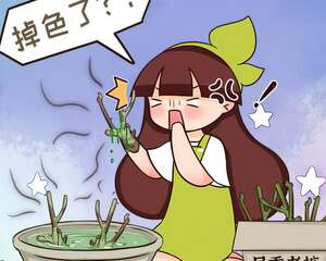 这花不能买，白送都别要，养不活惹一肚子气！