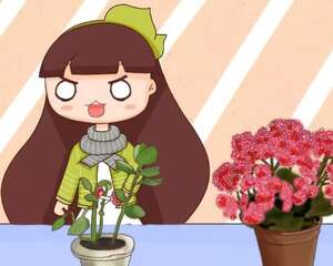 夏天养长寿，这4个雷区不能踩，不然3天就死光！