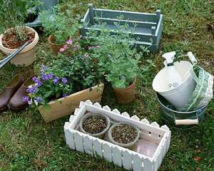 最简单实用的家庭室内园艺工具