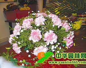 DIY宝典：插花技术手册