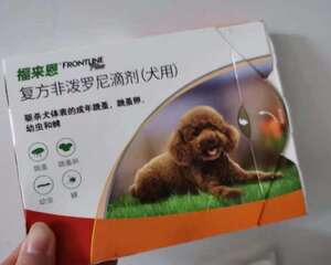 五年铲屎官的走心分享，狗狗体外驱虫