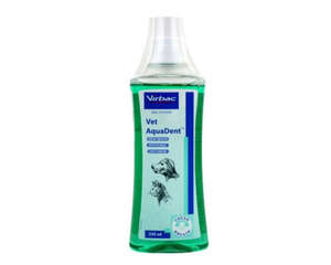 猫的牙齿疾病有什么征兆？