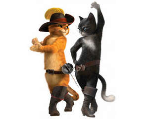 猫咪为什么不喜欢穿鞋