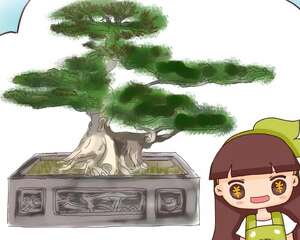 扔路边没人要的花，捡回去养1年，身价翻了20倍！
