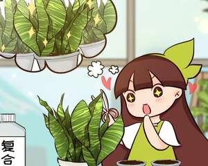 家里有这花，小花盆、挤着养，疯狂开花爆小崽！