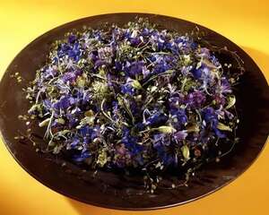 “夏日蛋糕”BLUE SUMMERCAKE(图)