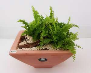 波斯頓風情(图)