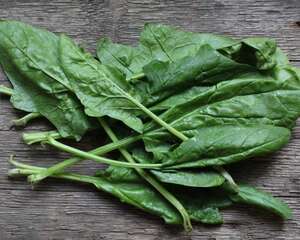 菠菜的功效与作用