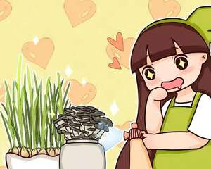 家里没光就养它，喷喷水就疯长，10天就能吃一茬！