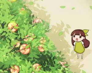 18种果树，镇宅养家，有院子一定要养！