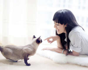 猫咪难亲近，获取猫咪信任有妙法