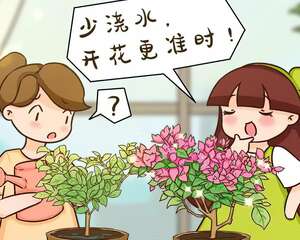 10种耐旱植物，平时少浇水，开花更准时！