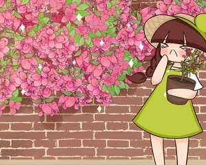 南方烂大街的花，北方人花钱买，还养不活，气人！