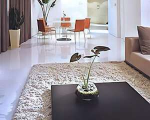 健康花卉扮靓家居(图)