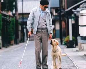 你不知道的生活里各种各样的服务犬