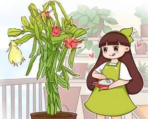 这水果太贵了，吃完留下核，还能种盆栽！