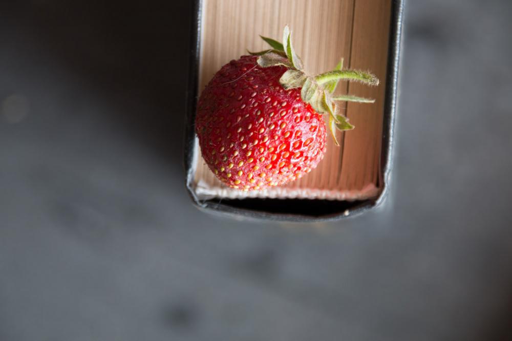 家庭无土栽培草莓怎么养
