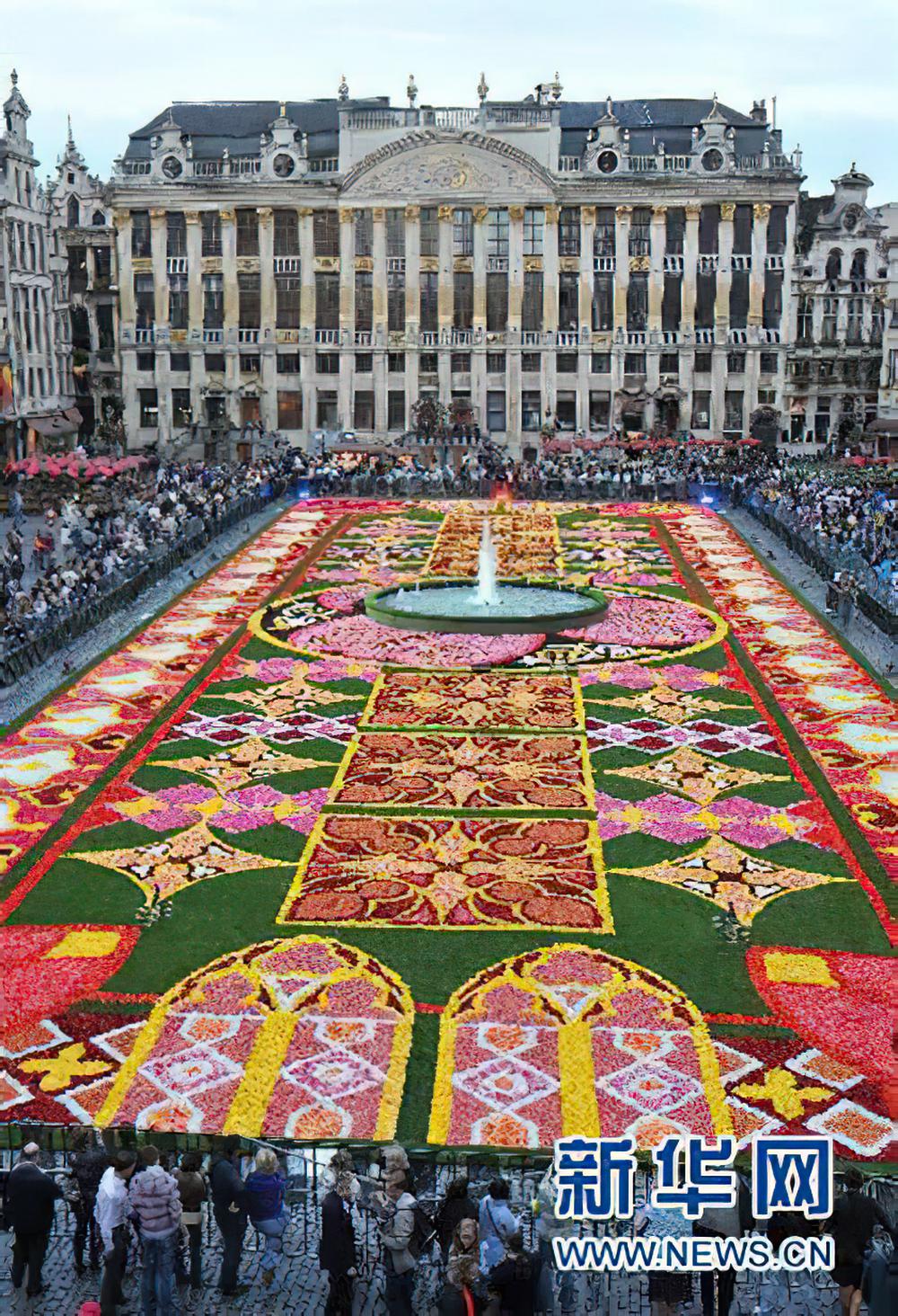 布鲁塞尔：鲜花地毯亮相 总占地约2000平方米